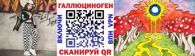 Псилоцибиновые грибы Cubensis  Сокол 